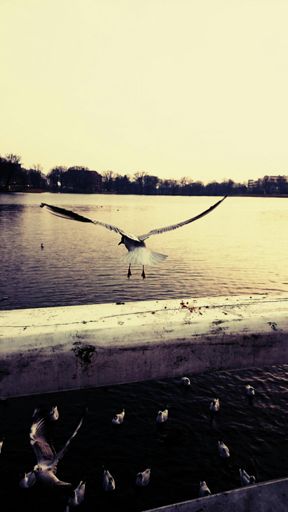 Come and Fly with me