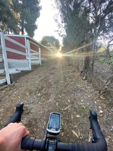 Towards the light we go