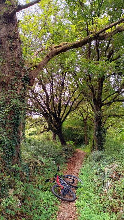 [MTB] - Completando el puzzle 🧭🧩 de Liaño y La Concha