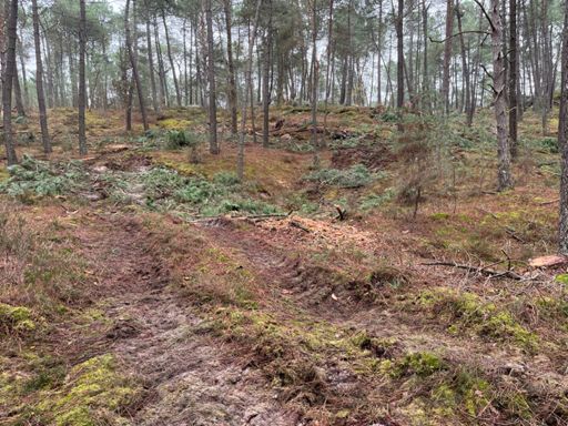 Dire qu’on est accusés d’érosion 🥶