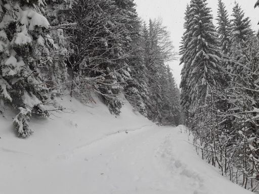 So ging es schön dahin