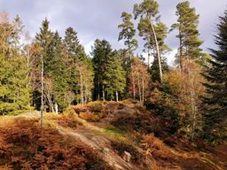 Autour du col de la Crénée