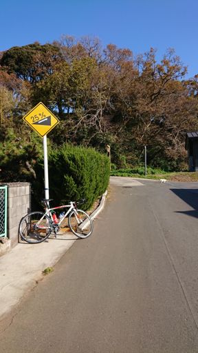 トム・ボーネンごっこした