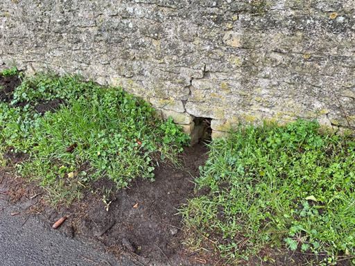 Aménagement créé pour permettre le passage des amphibiens