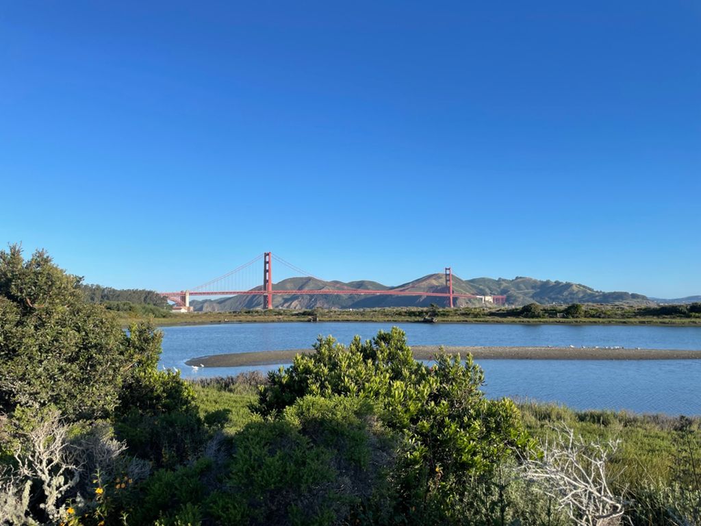 Butterlap (Presidio & Golden Gate Park)的照片 104