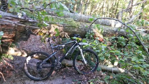 La photo est trompeuse : ça passait pas dessous,  j'ai du escalader