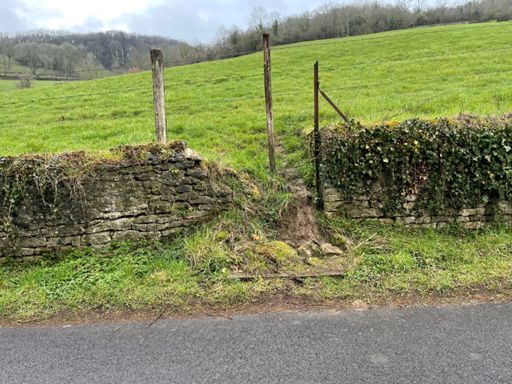 Aménagement créé pour permettre le passage des amphibiens