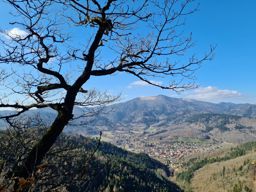 Rando Bitschwiller-lès-Thann Ostein