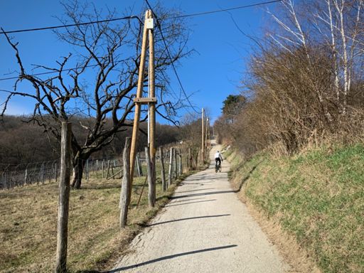 Die Kierlinger Gasse wird zum Ende immer steiler