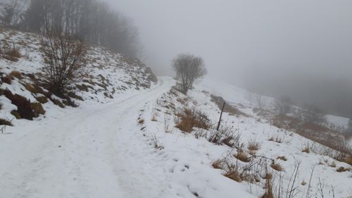 www.strava.com