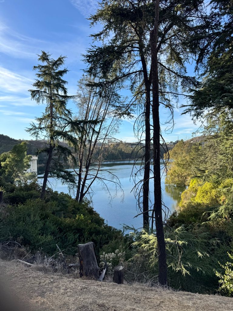 NBB run - Lake Hollywood photo 34