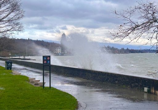 Mario Bros Level 9, faut passer au bon moment 😂