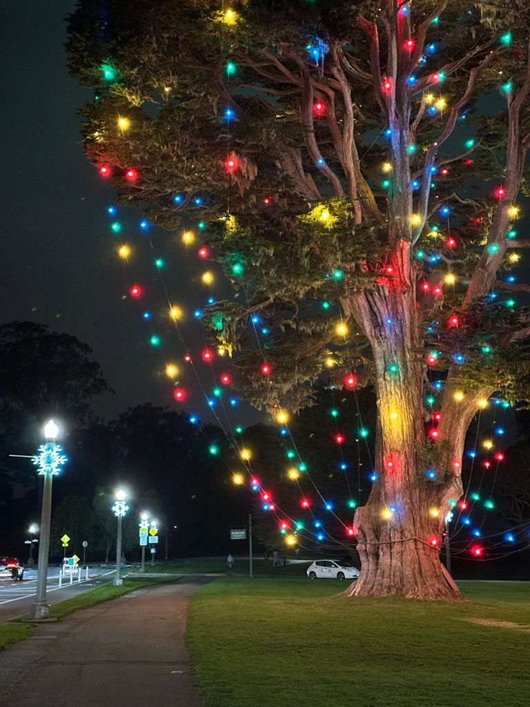 Butterlap (Presidio & Golden Gate Park)的照片 53