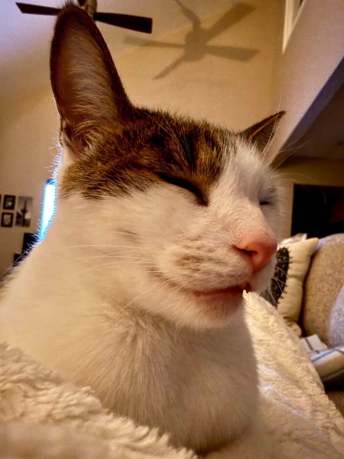 He’s so tired his mouth fell open 