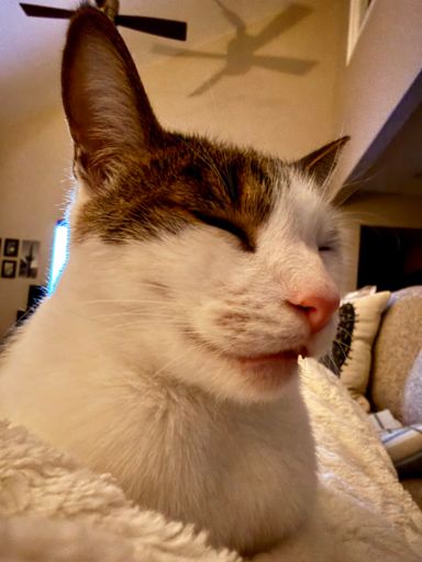 He’s so tired his mouth fell open 