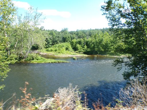Lackawaxen River