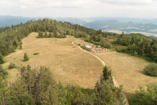 Wierch Lubania (ok. 1200 m)