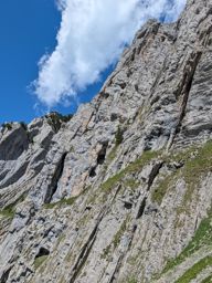 Chöpfenberg Tierberg