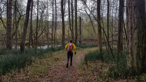 Вдоль речки Медведки.