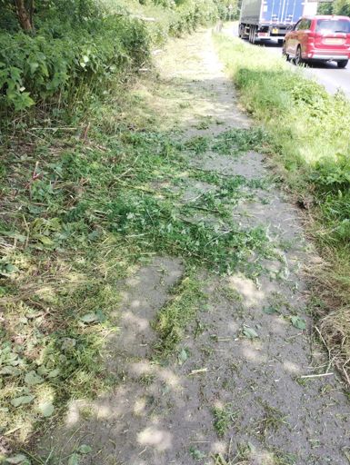 Nothing like cutting back a cycle path and just leaving the thorns and large branches across the pathway.  This would never happen on the continent I tell you! 😝
