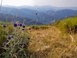 Entre Duranus et la chapelle st Michel