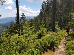 Rando Schneeberg Nideck