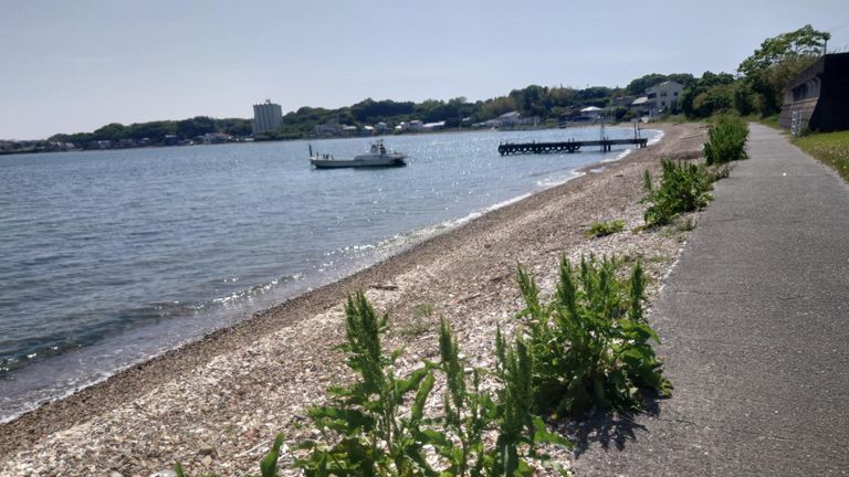 このあたりは波際を走れます😁