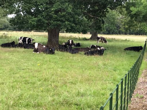 Who needs a weather app