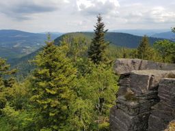 Entre Moussey et la Chatte pendue