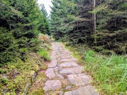 Les deux donons depuis la maison