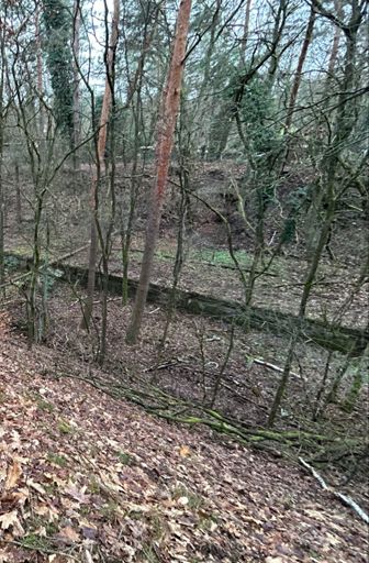 Immer wieder einen Blick wert: Der Bahnsteig vom ehemaligen S-Bhf Dreilinden, seit 1963 im Dornröschen-Schlaf, nur ohne Dornenhecke und ohne Gleise😎🤓