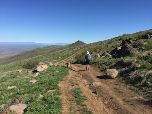 Pointing thing in distance is actual summit. Only like 20ft higher than where we parked. You have to go down and then back up sadly!