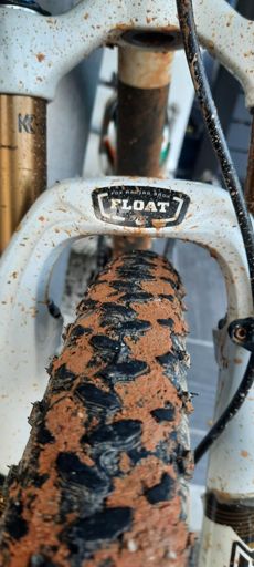 Lama tak berselut....