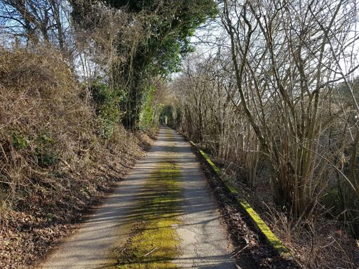 Quietest of country lanes