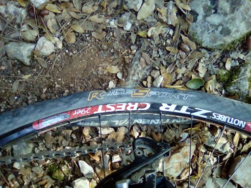 Destes nunca mais...