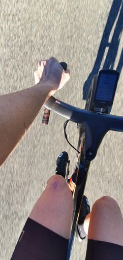 Un 31 décembre normal dans le sud de la France #rechauffementclimatique