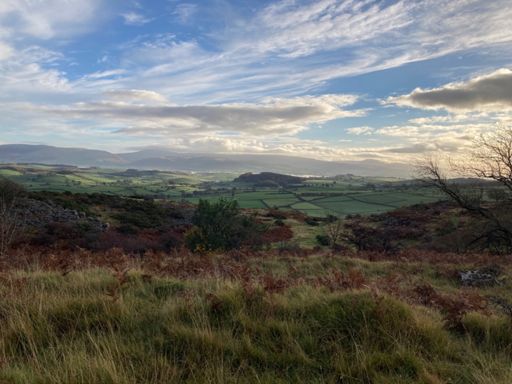 Mist in the Lune Valley