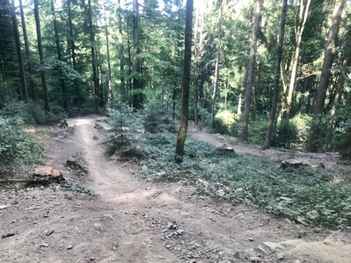 Dass die Bäume nicht schon vor drei Jahren weggekommen sind hätte mir etwas Ärger erspart... 🤭