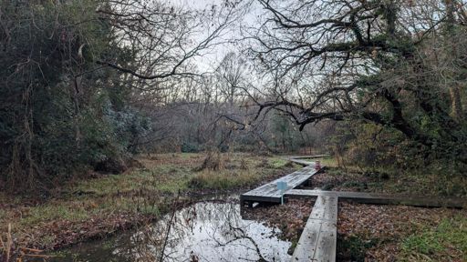 日の出と同時にスタート
林の中の谷間なので風は穏やか