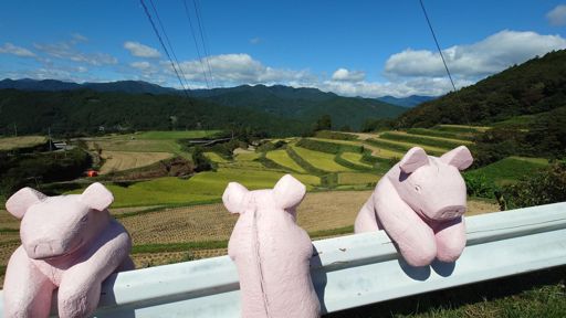 とんかつ食べたい😆