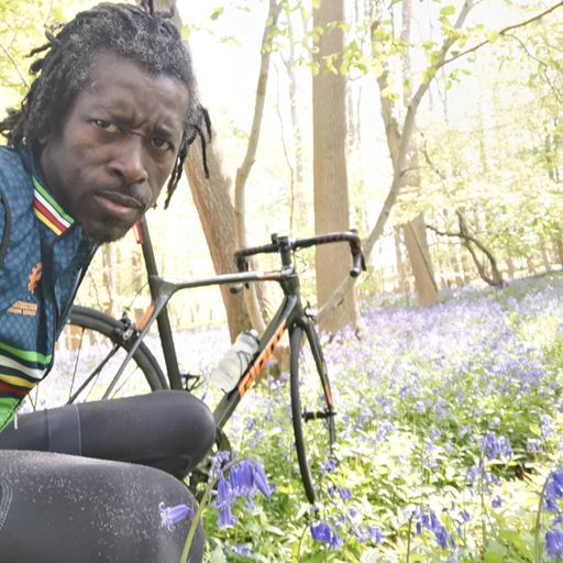 Looking for a decent blue bell 😜