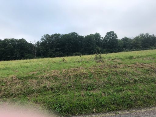 Comme la précédente, c'est un faisan