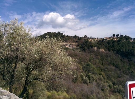 Roquettes but not rocket!