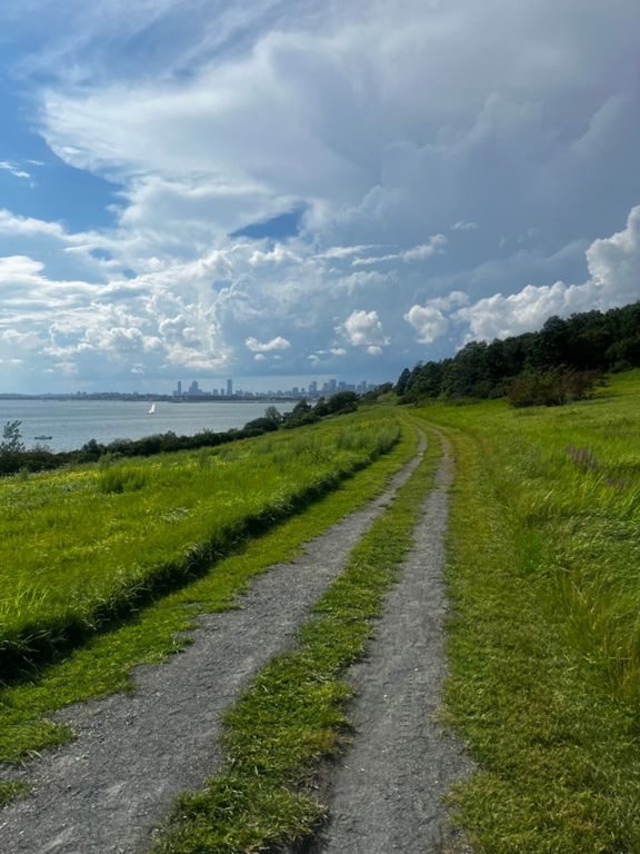 route-highlight
