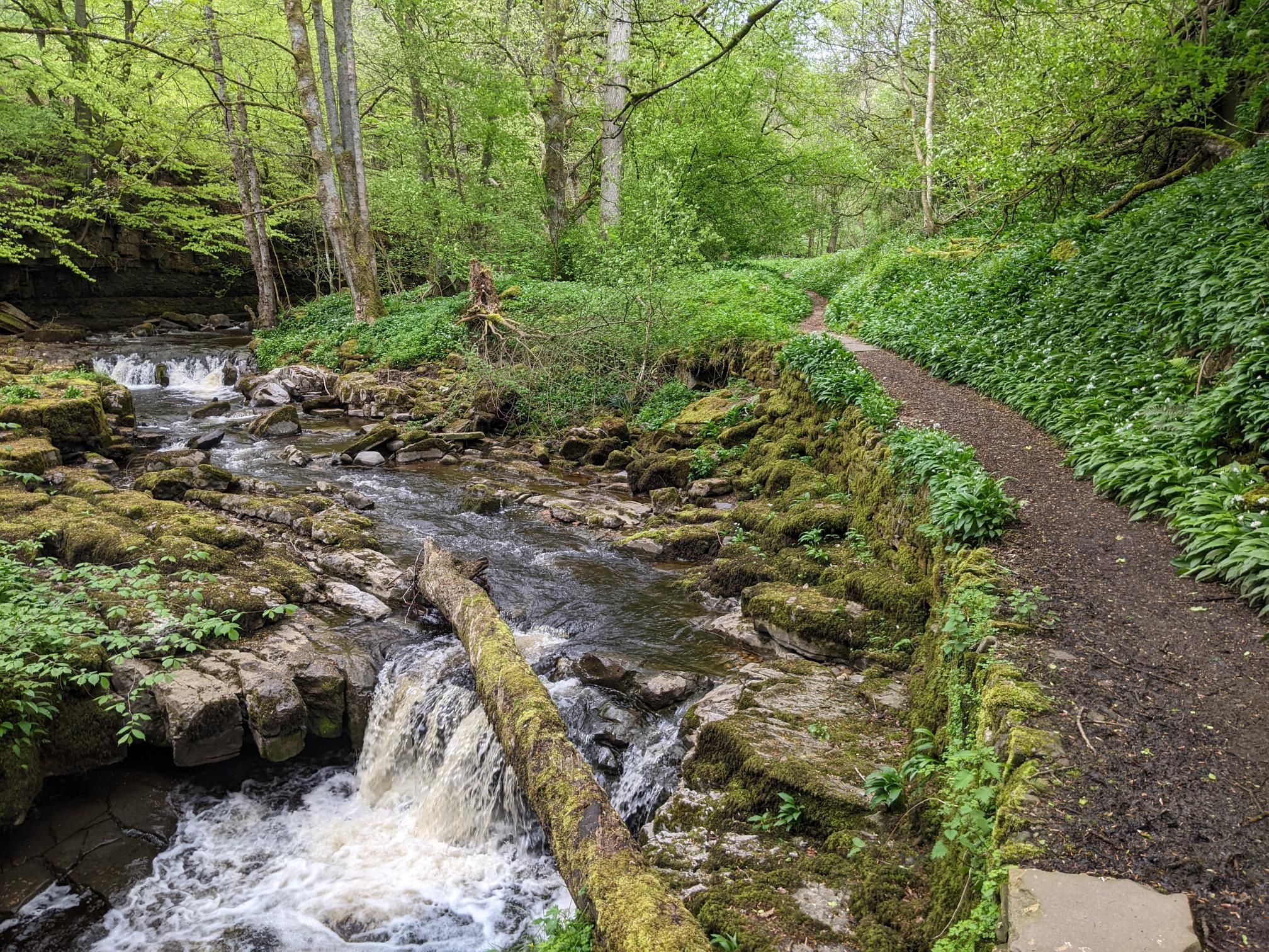 Herriot Way day 1 and 2 photo 13