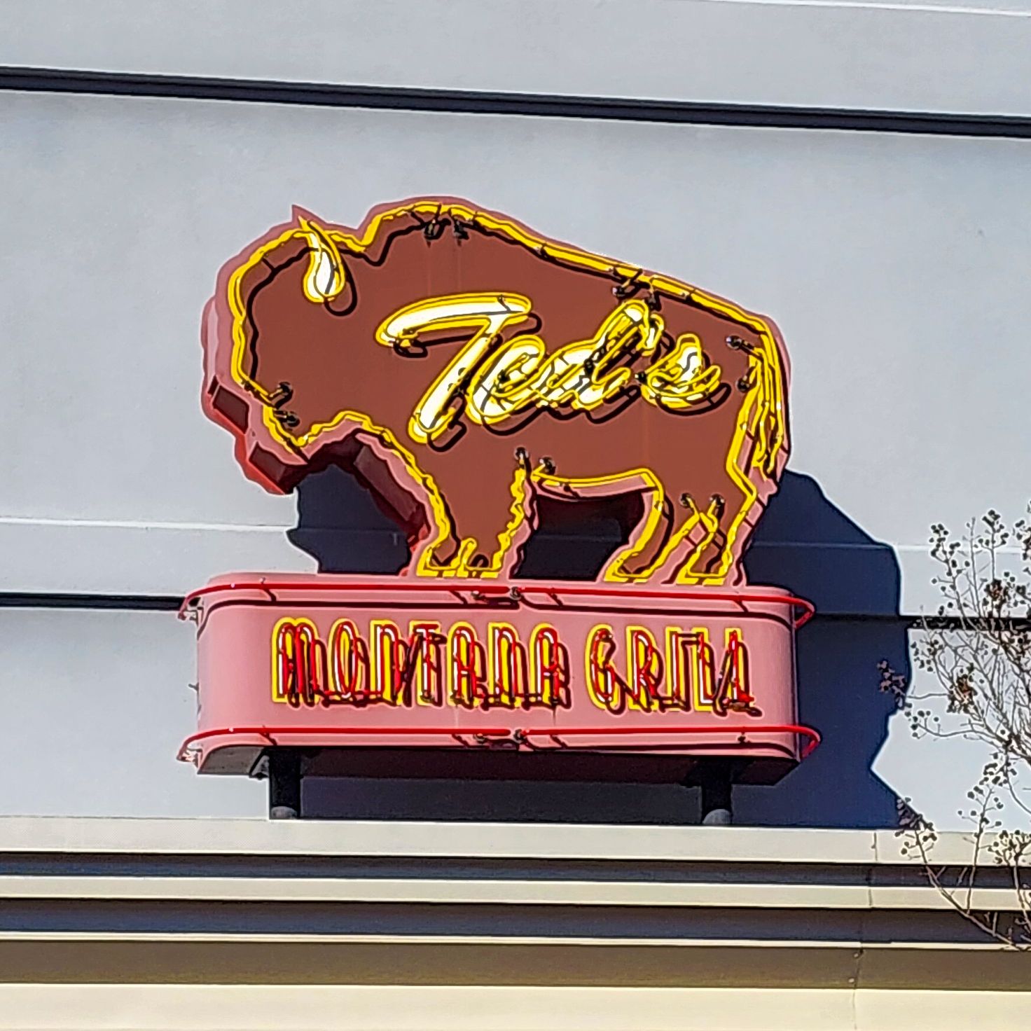 ... but also ... Bison? Maybe?