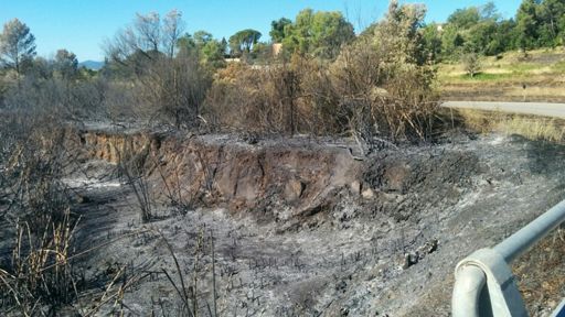 Bosbranden van gisteren ....