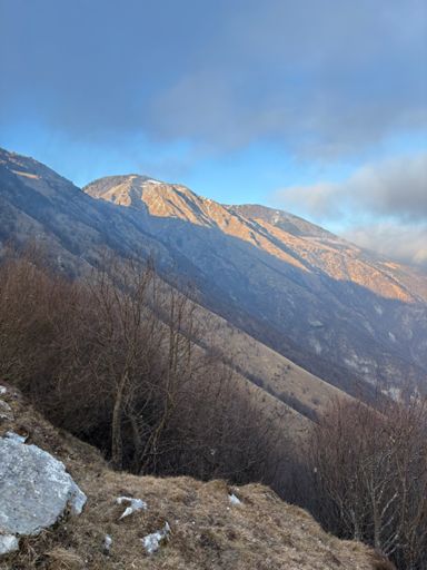 Sauc e vista verso Piancavallo 