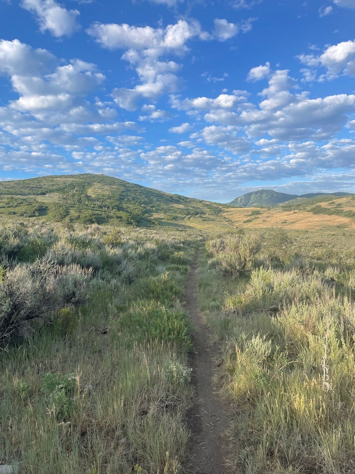 Logo Person Computer Stay Park City Cycling | Strava
