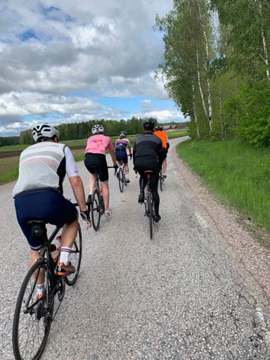 Fin klungkörning, och kossor i bakgrunden.